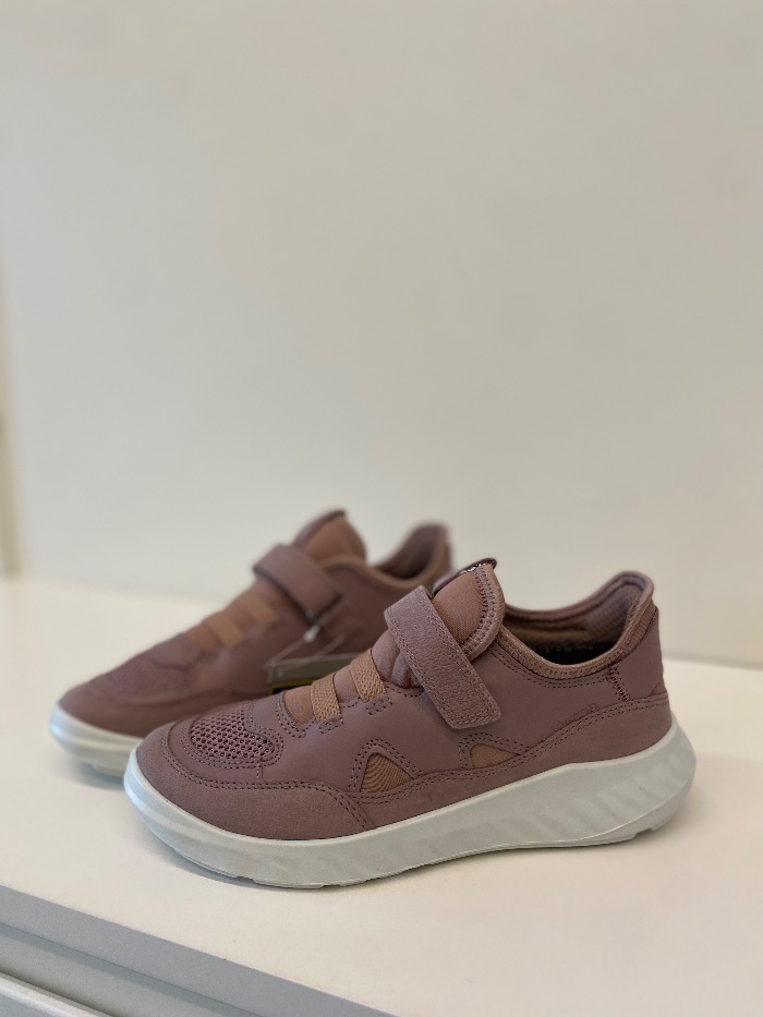 ECCO aulinukai