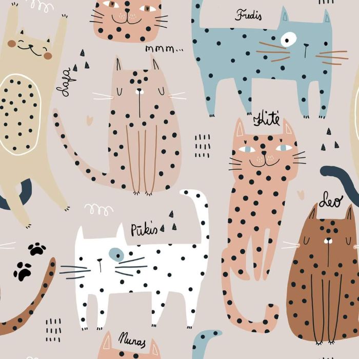 Komplektukas katinėliai su lietuviškais užrašais