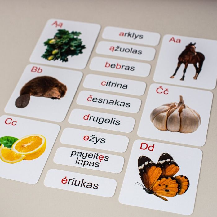 Trijų dalių „Montessori“ lavinamųjų kortelių rinkinys „Abėcėlė“ (1 dalis), mažosiomis raidėmis