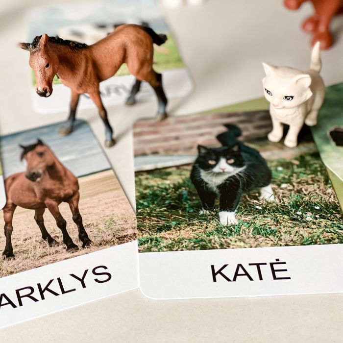 Trijų dalių „Montessori“ lavinamųjų kortelių rinkinys „Ūkio gyvūnai“ (2 dalis), didžiosiomis raidėmis