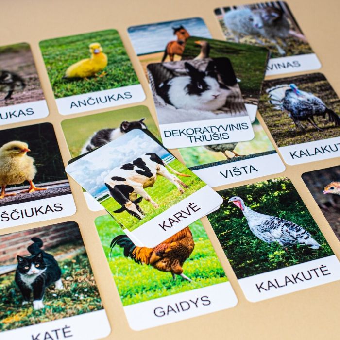 Trijų dalių „Montessori“ lavinamųjų kortelių rinkinys „Ūkio gyvūnai“ (2 dalis), didžiosiomis raidėmis