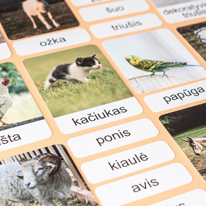 Trijų dalių „Montessori“ lavinamųjų kortelių rinkinys „Ūkio gyvūnai“ (2 dalis), mažosiomis raidėmis