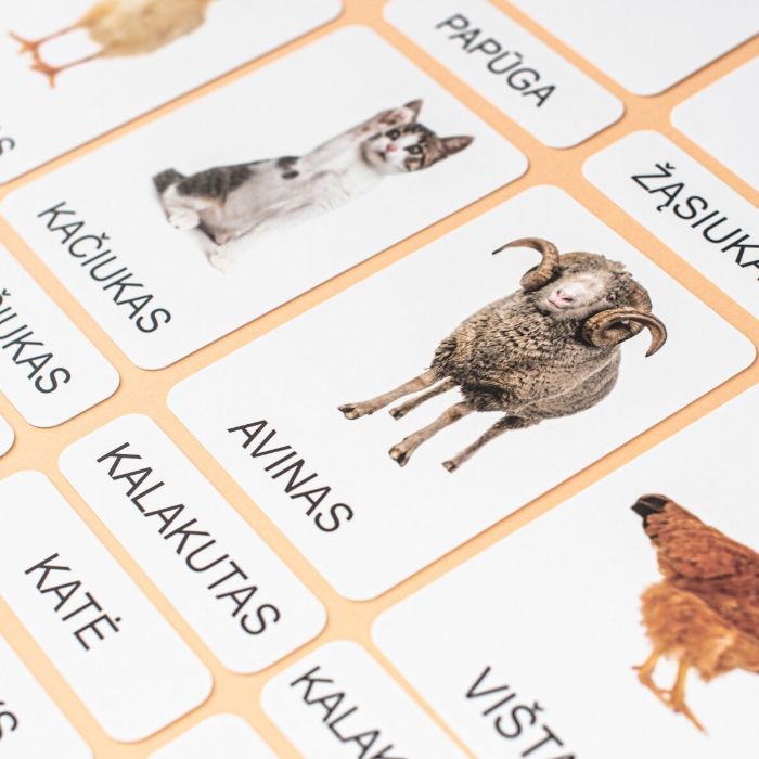 Trijų dalių „Montessori“ lavinamųjų kortelių rinkinys „Ūkio gyvūnai“ (1 dalis), didžiosiomis raidėmis