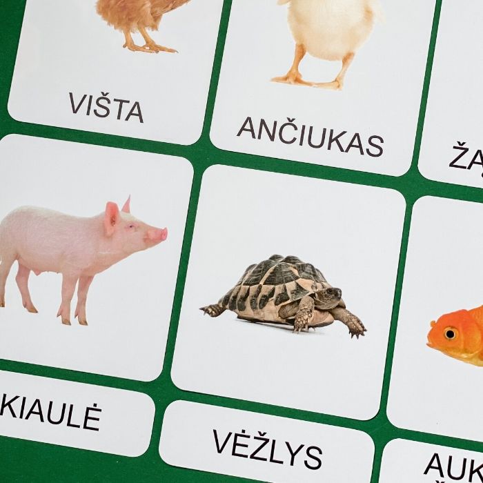 Trijų dalių „Montessori“ lavinamųjų kortelių rinkinys „Ūkio gyvūnai“ (1 dalis), didžiosiomis raidėmis