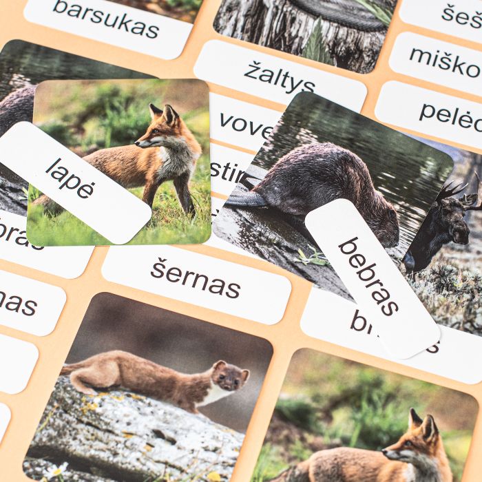 Trijų dalių „Montessori“ lavinamųjų kortelių rinkinys „Miško gyvūnai“ (2 dalis), mažosiomis raidėmis
