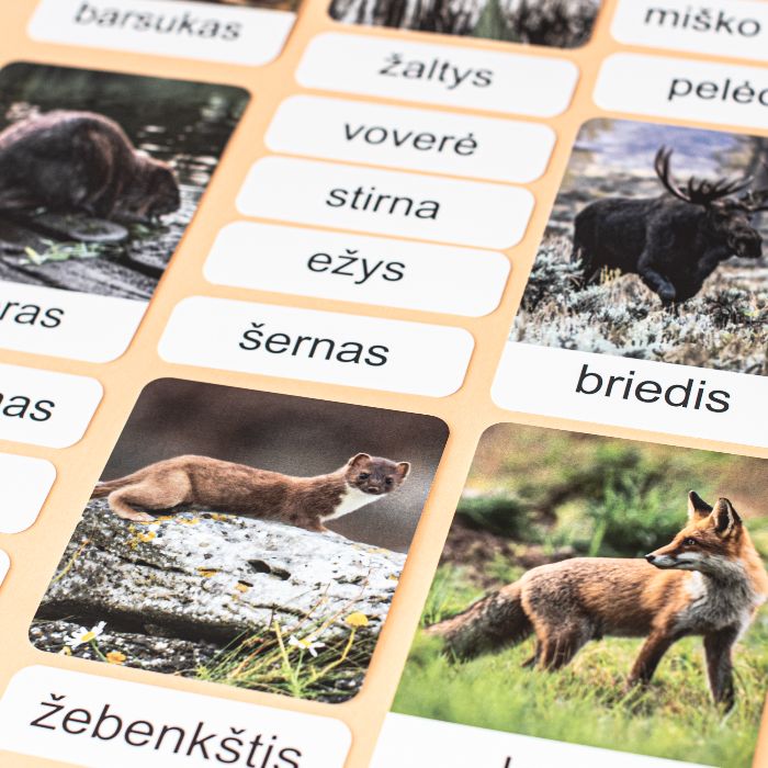Trijų dalių „Montessori“ lavinamųjų kortelių rinkinys „Miško gyvūnai“ (2 dalis), mažosiomis raidėmis