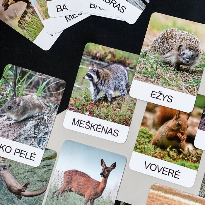 Trijų dalių „Montessori“ lavinamųjų kortelių rinkinys „Miško gyvūnai“ (2 dalis), didžiosiomis raidėmis